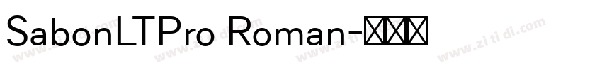SabonLTPro Roman字体转换